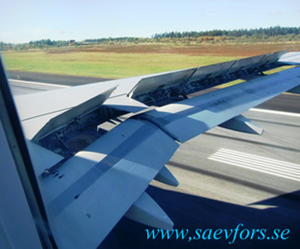 wing